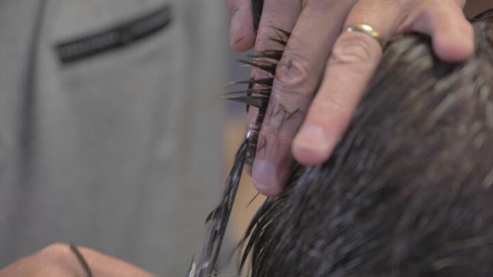 Oil pollution: A 'hairy' situation